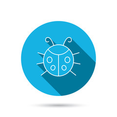 Ladybug icon. Ladybird insect sign.