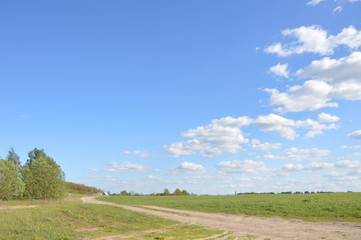 Брянская весна