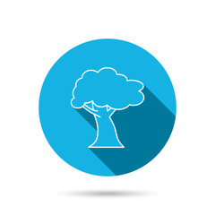 Oak tree icon. Forest wood sign.