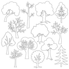 tree outlines