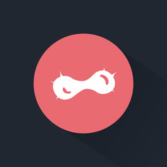 Mitosis icon
