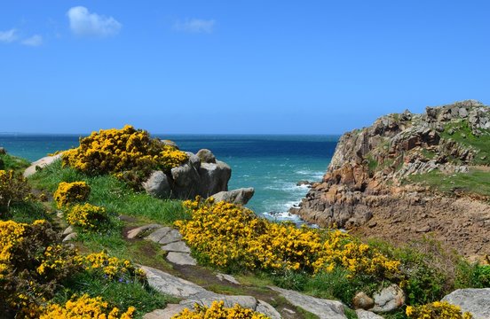 paysage nature en Bretagne