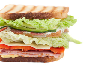 sandwich on a white background