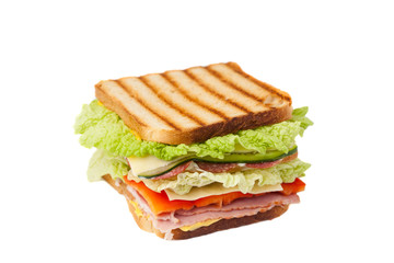 sandwich on a white background