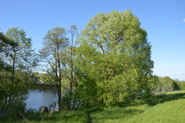 Obraz premium Брянская весна