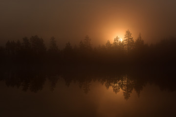 Fototapeta na wymiar Sunrise over the misty pond