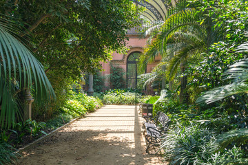 Fototapeta premium Tropical greenhouse, the Umbracle is a wood brick construction for tropical plants in the Citadel Park Barcelona. The Parc de la Ciutadella is situated in the Barcelona district Ciutat Vella