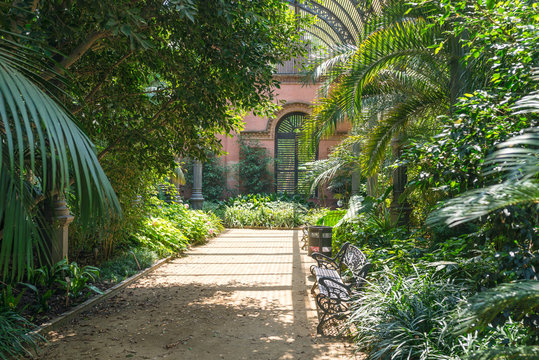 Tropical greenhouse, the Umbracle is a wood brick construction for tropical plants in the Citadel Park Barcelona. The Parc de la Ciutadella is situated in the Barcelona district Ciutat Vella