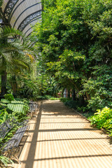 Tropical greenhouse, the Umbracle is a wood brick construction for tropical plants in the Citadel Park Barcelona. The Parc de la Ciutadella is situated in the Barcelona district Ciutat Vella