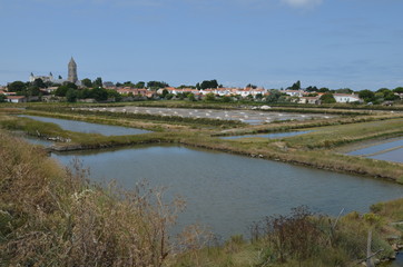 Fototapeta premium vue sur l'eglise de Noirmoutier en L'ile depuis la reserve du Mullembourg
