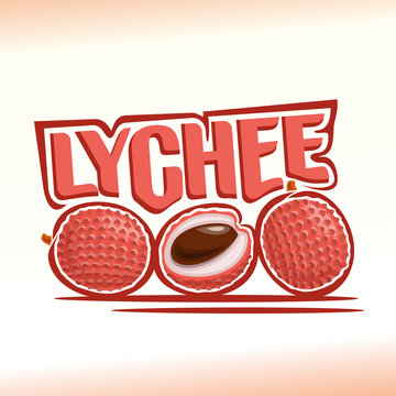 Vector illustration on the theme of lychee