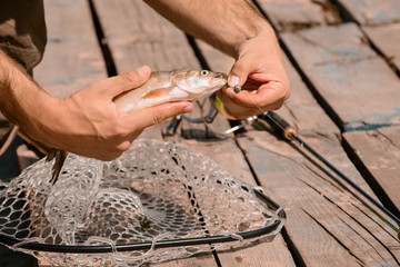 Pleasant man fishing 