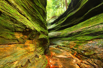 Narrow moss covered gorge at Turkey Run State Park in Indiana