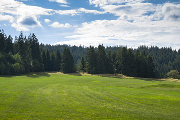 Landscape in Blak Forest, Germany