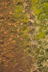 Old concrete with decal