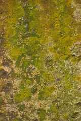 Old concrete with decal