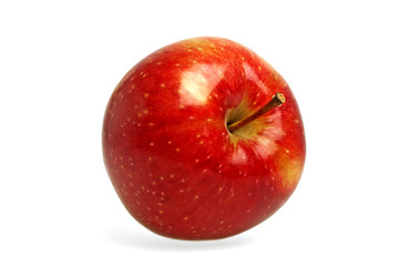 Red apple on a white background