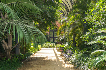 Tropical greenhouse, the Umbracle is a wood brick construction for tropical plants in the Citadel Park Barcelona. The Parc de la Ciutadella is situated in the Barcelona district Ciutat Vella