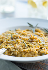 Squash Risotto