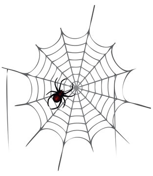 Spinnennetz Halloween