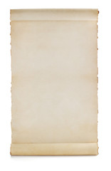 parchment scroll isolated on white