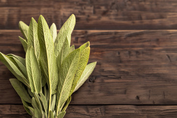 Fresh sage at left side of wooden table