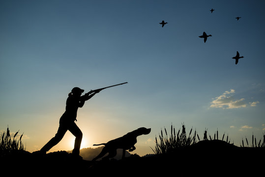 Silhouette of woman hunter at sunset. Duck hunting with dogs.