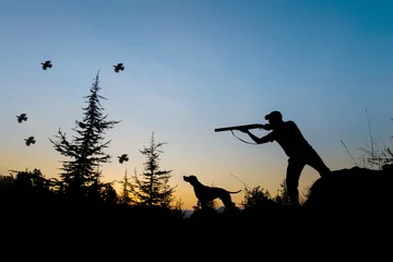 Photo sur Plexiglas Chasser Chasse. Chasseur et chien au coucher du soleil.