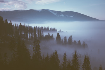 Brouillard dans les montagnes