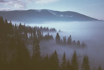 Papier Peint photo Lavable Forêt dans le brouillard Brouillard dans les montagnes