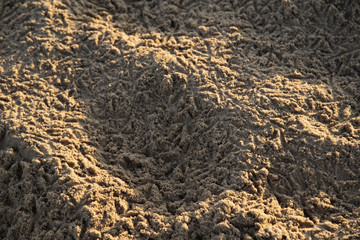 Sand patterns caused by the footprints of bird    