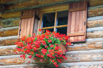 Fototapeta na wymiar window with flowers in a wooden house