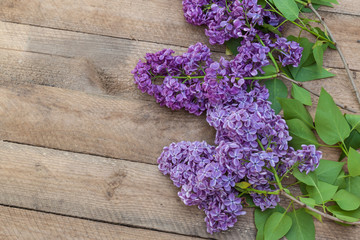 Purple-blue lilac on a wooden  table