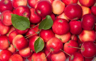 Red apples