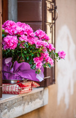 Fototapeta na wymiar Pink flower flowerpot on windowsill of window