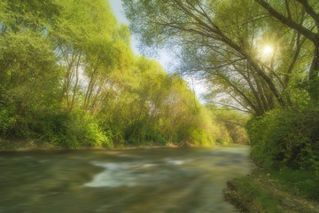 Fototapeta na wymiar Green River