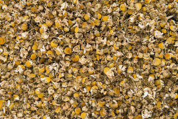 Dried Camomile (background image)