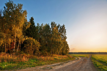 Fototapeta premium Road in sunset field