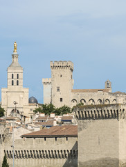 Fototapeta premium Avignon (Provence, France)