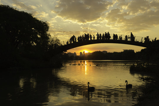 P&ocirc;r-do-sol alem do lago