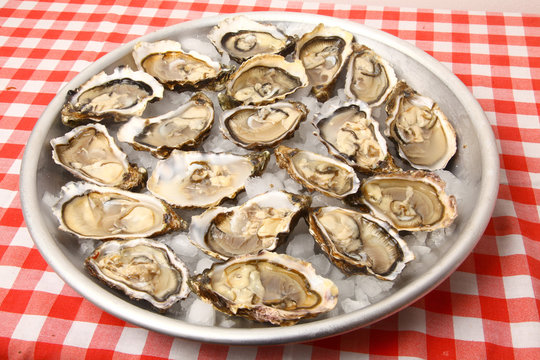 ostras