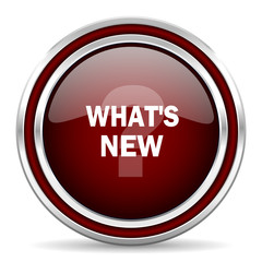 new red glossy web icon