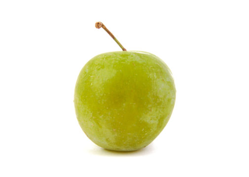 Close up of single green plum isolated on a white background