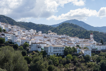 Fototapeta na wymiar Pueblos de la comarca del valle del Genal, Genalguacil en la provincia de Málaga