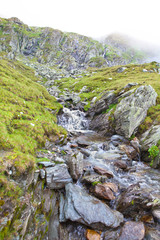 Fototapeta premium falling water