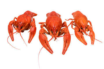 Photo of three boiled crayfish