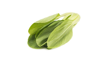 Fresh green leafy bok choy vegetable isolated in white.