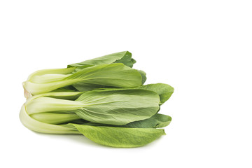 Fresh green leafy bok choy vegetable isolated in white.