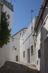 Fototapeta na wymiar Calles del municipio andaluz de Genalguacil en la provincia de Málaga