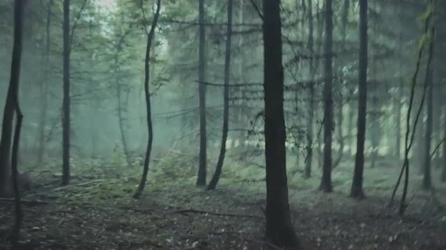 POV shot when you run misty forest in running away from fear